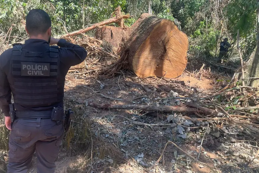 Crédito: Divulgação