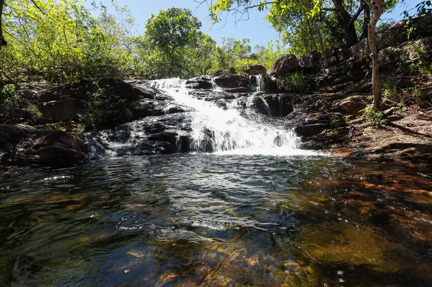 <div class='credito_fotos'>Foto: Alex Ribeiro / Ag. Pará | <a href='/midias/2025/originais/20250717145331-GF00024230-F00423678.webp' download><i class='fa-solid fa-download'></i> Download</a></div>