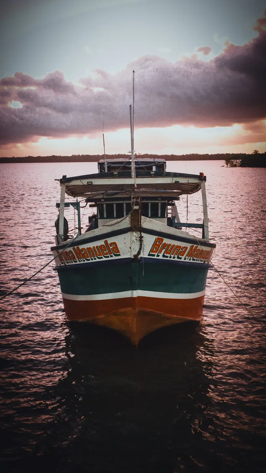 <div class='credito_fotos'>Foto: Bruno Cruz / Ag. Pará | <a href='/midias/2025/originais/20250724134011-GF00024296-F00425515.webp' download><i class='fa-solid fa-download'></i> Download</a></div>