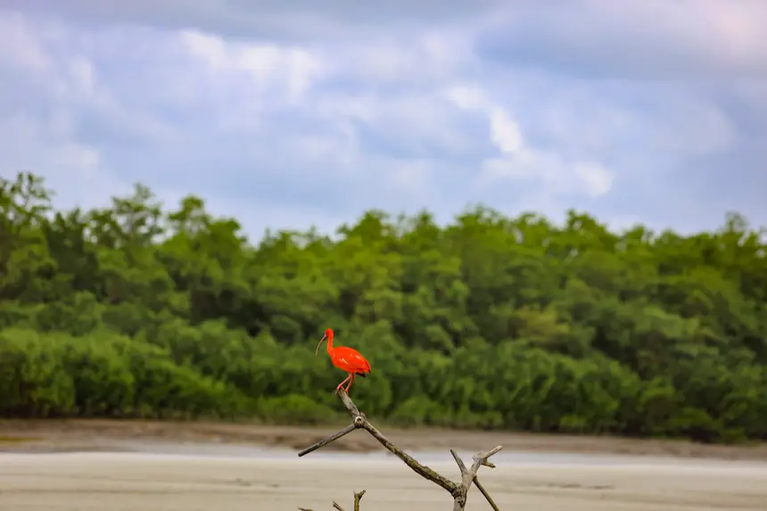 <div class='credito_fotos'>Foto: Bruno Cruz / Ag. Pará | <a href='/midias/2025/originais/20250725115921-GF00024296-F00425893.webp' download><i class='fa-solid fa-download'></i> Download</a></div>
