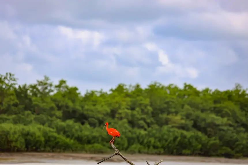 <div class='credito_fotos'>Foto: Bruno Cruz / Ag. Pará | <a href='/midias/2025/originais/20250725115924-GF00024296-F00425894.webp' download><i class='fa-solid fa-download'></i> Download</a></div>