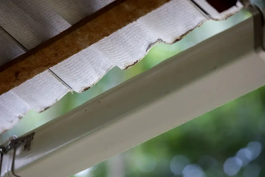  <div class='credito_fotos'>Foto: Pedro Guerreiro / Ag. Pará &nbsp;&nbsp;|&nbsp;&nbsp; <a href='/midias/2025/originais/20250808124328-GF00024419-F00428991.jpg' download><i class='fa-solid fa-download'></i> Download</a></div>