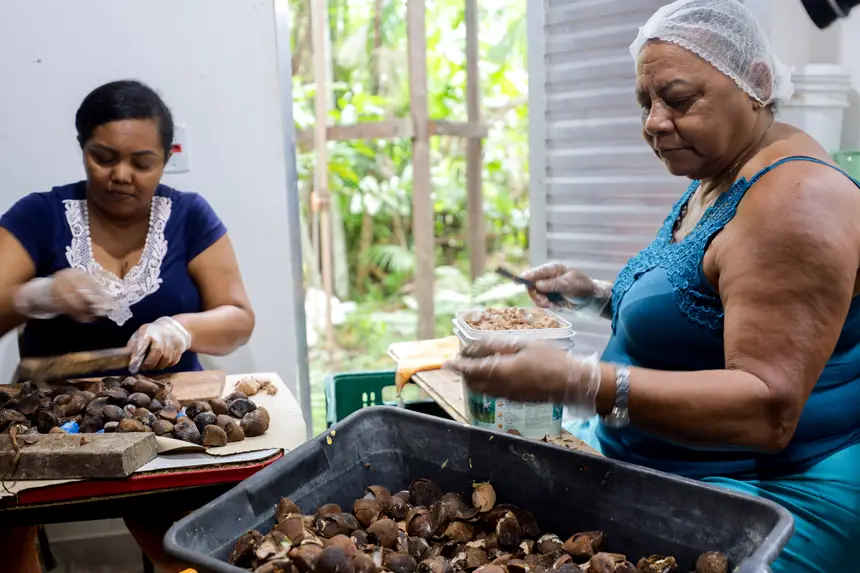  <div class='credito_fotos'>Foto: Pedro Guerreiro / Ag. Pará &nbsp;&nbsp;|&nbsp;&nbsp; <a href='/midias/2025/originais/20250808124340-GF00024419-F00428997.jpg' download><i class='fa-solid fa-download'></i> Download</a></div>