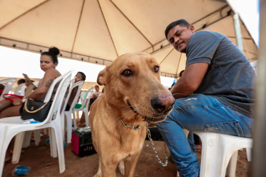 <div class='credito_fotos'>Foto: Pedro Guerreiro / Ag. Pará | <a href='/midias/2025/originais/20250823125456-GF00024593-F00434501.jpg' download><i class='fa-solid fa-download'></i> Download</a></div>