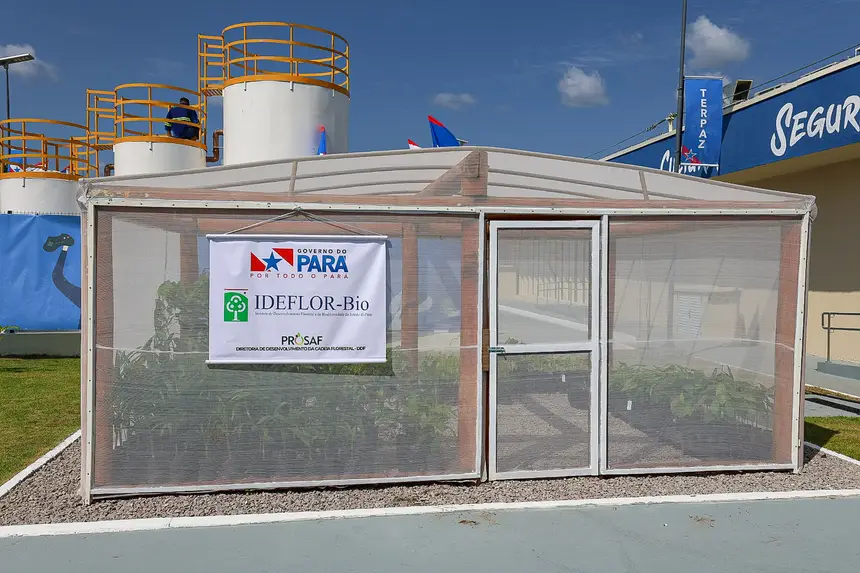  <div class='credito_fotos'>Foto: Alex Ribeiro / Ag. Pará &nbsp;&nbsp;|&nbsp;&nbsp; <a href='/midias/2025/originais/20250828162422-GF00024658-F00436861.jpg' download><i class='fa-solid fa-download'></i> Download</a></div>