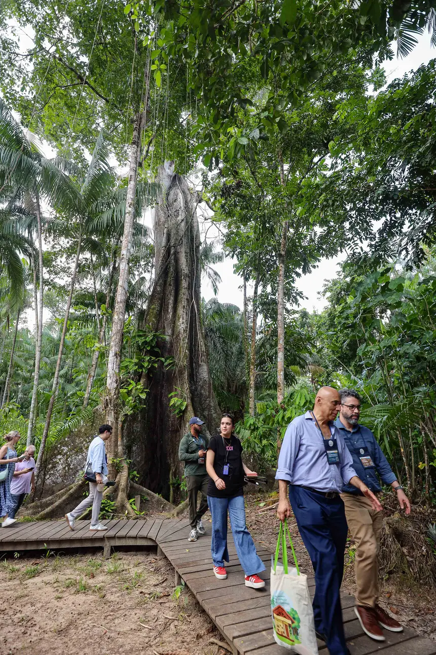  <div class='credito_fotos'>Foto: Bruno Cecim / Ag. Pará &nbsp;&nbsp;|&nbsp;&nbsp; <a href='/midias/2025/originais/20250829155051-GF00024679-F00437545.jpg' download><i class='fa-solid fa-download'></i> Download</a></div>