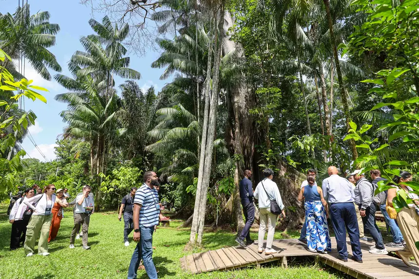  <div class='credito_fotos'>Foto: Bruno Cecim / Ag. Pará &nbsp;&nbsp;|&nbsp;&nbsp; <a href='/midias/2025/originais/20250829155133-GF00024679-F00437558.jpg' download><i class='fa-solid fa-download'></i> Download</a></div>