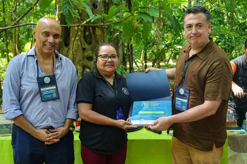  <div class='credito_fotos'>Foto: Bruno Cecim / Ag. Pará &nbsp;&nbsp;|&nbsp;&nbsp; <a href='/midias/2025/originais/20250829155210-GF00024679-F00437575.jpg' download><i class='fa-solid fa-download'></i> Download</a></div>