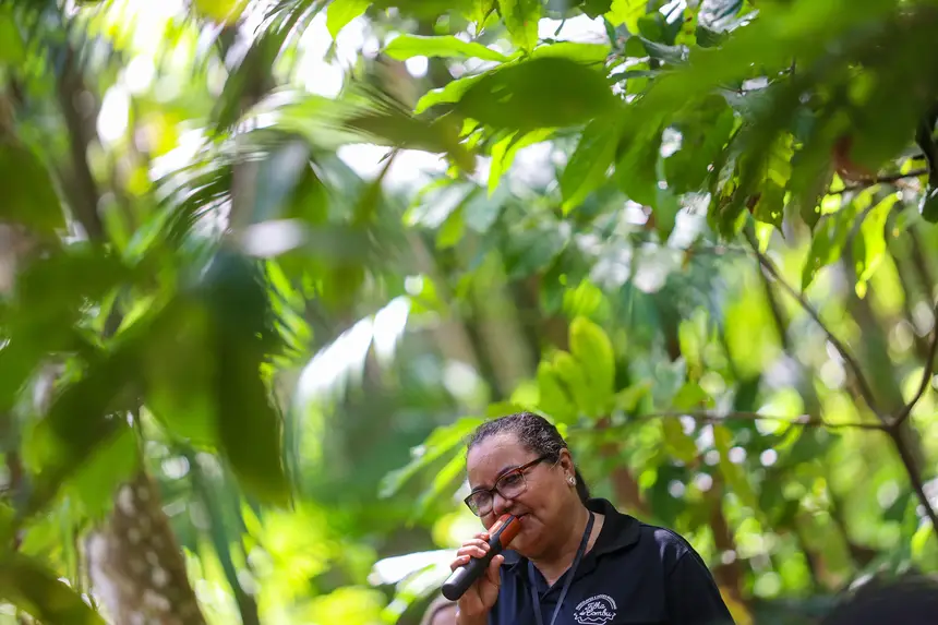  <div class='credito_fotos'>Foto: Bruno Cecim / Ag. Pará &nbsp;&nbsp;|&nbsp;&nbsp; <a href='/midias/2025/originais/20250829155305-GF00024679-F00437601.jpg' download><i class='fa-solid fa-download'></i> Download</a></div>