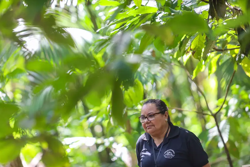  <div class='credito_fotos'>Foto: Bruno Cecim / Ag. Pará &nbsp;&nbsp;|&nbsp;&nbsp; <a href='/midias/2025/originais/20250829155318-GF00024679-F00437607.jpg' download><i class='fa-solid fa-download'></i> Download</a></div>