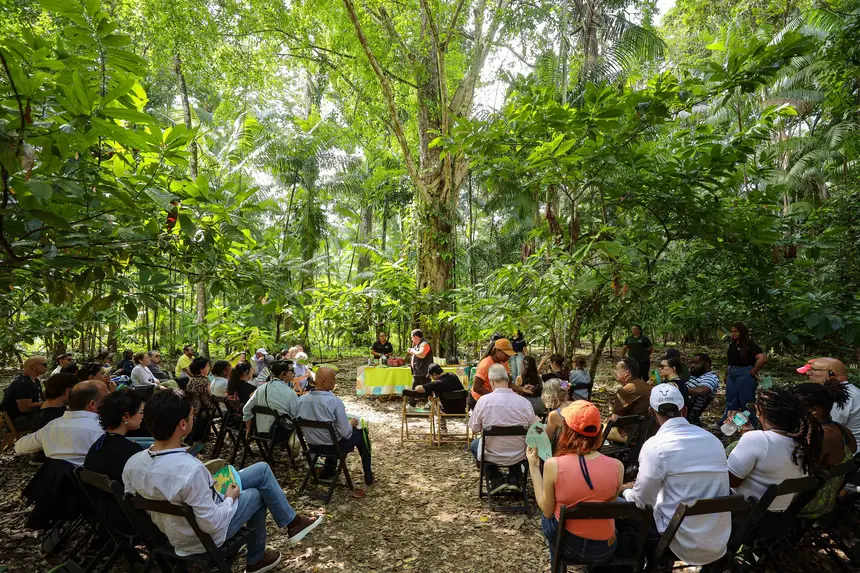  <div class='credito_fotos'>Foto: Bruno Cecim / Ag. Pará &nbsp;&nbsp;|&nbsp;&nbsp; <a href='/midias/2025/originais/20250829155433-GF00024679-F00437629.jpg' download><i class='fa-solid fa-download'></i> Download</a></div>