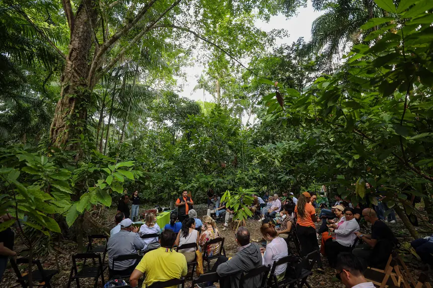  <div class='credito_fotos'>Foto: Bruno Cecim / Ag. Pará &nbsp;&nbsp;|&nbsp;&nbsp; <a href='/midias/2025/originais/20250829155438-GF00024679-F00437631.jpg' download><i class='fa-solid fa-download'></i> Download</a></div>