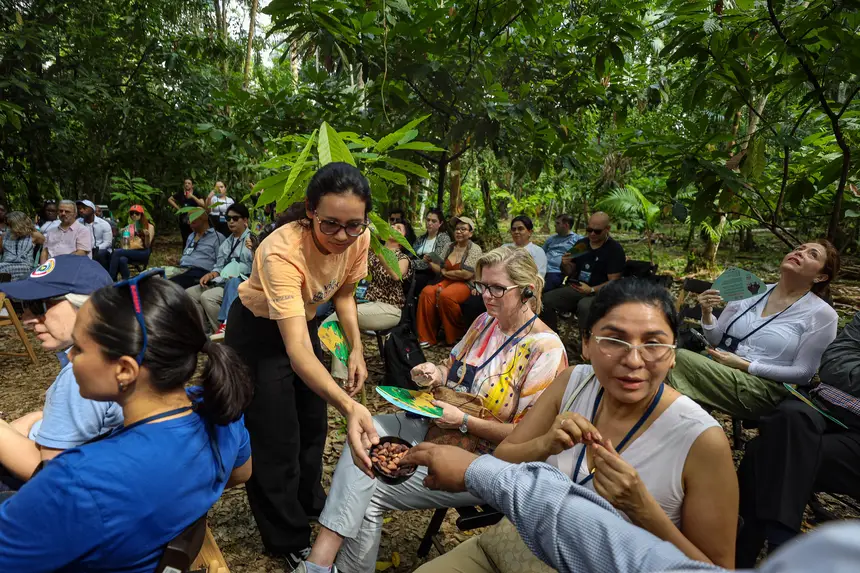  <div class='credito_fotos'>Foto: Bruno Cecim / Ag. Pará &nbsp;&nbsp;|&nbsp;&nbsp; <a href='/midias/2025/originais/20250829155442-GF00024679-F00437633.jpg' download><i class='fa-solid fa-download'></i> Download</a></div>