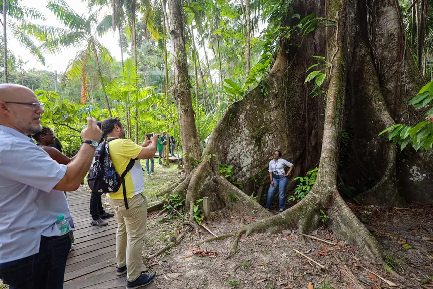  <div class='credito_fotos'>Foto: Bruno Cecim / Ag. Pará &nbsp;&nbsp;|&nbsp;&nbsp; <a href='/midias/2025/originais/20250829155516-GF00024679-F00437649.jpg' download><i class='fa-solid fa-download'></i> Download</a></div>