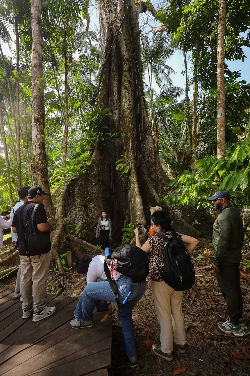  <div class='credito_fotos'>Foto: Bruno Cecim / Ag. Pará &nbsp;&nbsp;|&nbsp;&nbsp; <a href='/midias/2025/originais/20250829155521-GF00024679-F00437651.jpg' download><i class='fa-solid fa-download'></i> Download</a></div>
