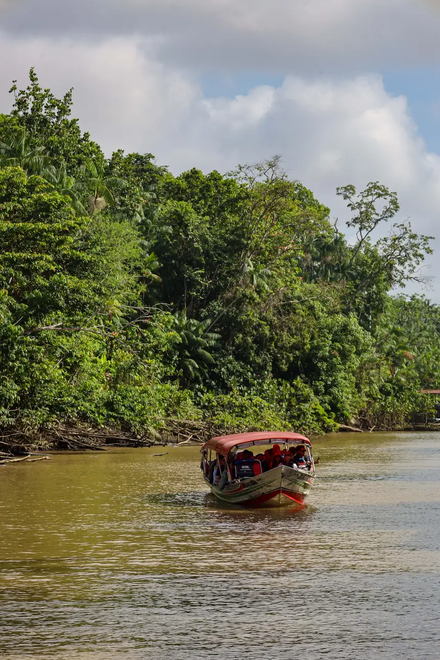  <div class='credito_fotos'>Foto: Bruno Cecim / Ag. Pará &nbsp;&nbsp;|&nbsp;&nbsp; <a href='/midias/2025/originais/20250829155627-GF00024679-F00437663.jpg' download><i class='fa-solid fa-download'></i> Download</a></div>