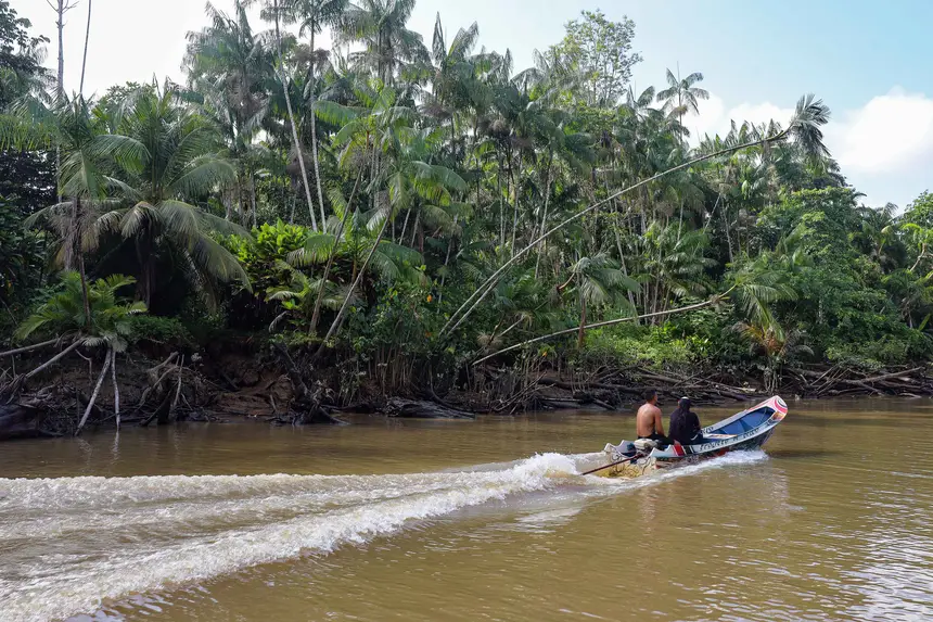  <div class='credito_fotos'>Foto: Bruno Cecim / Ag. Pará &nbsp;&nbsp;|&nbsp;&nbsp; <a href='/midias/2025/originais/20250829155631-GF00024679-F00437665.jpg' download><i class='fa-solid fa-download'></i> Download</a></div>
