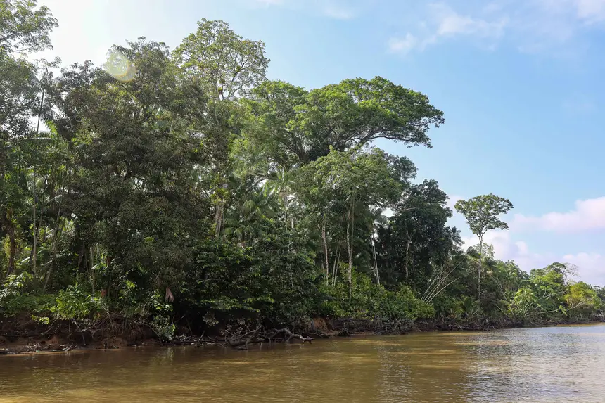  <div class='credito_fotos'>Foto: Bruno Cecim / Ag. Pará &nbsp;&nbsp;|&nbsp;&nbsp; <a href='/midias/2025/originais/20250829155638-GF00024679-F00437668.jpg' download><i class='fa-solid fa-download'></i> Download</a></div>