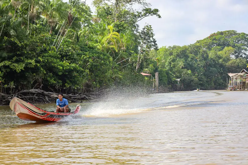  <div class='credito_fotos'>Foto: Bruno Cecim / Ag. Pará &nbsp;&nbsp;|&nbsp;&nbsp; <a href='/midias/2025/originais/20250829155648-GF00024679-F00437673.jpg' download><i class='fa-solid fa-download'></i> Download</a></div>