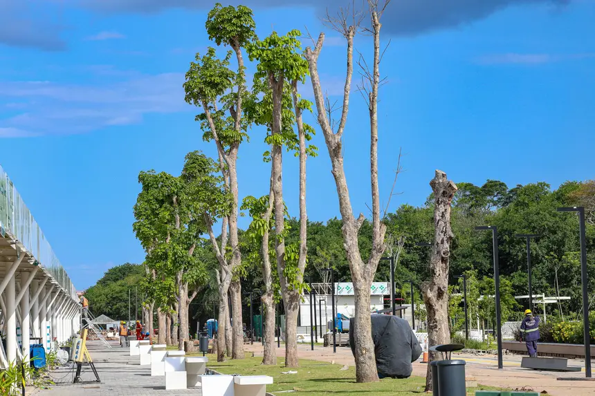  <div class='credito_fotos'>Foto: Alex Ribeiro / Ag. Pará   |   <a href='/midias/2025/originais/20250903172005-GF00024722-F00438971.jpg' download><i class='fa-solid fa-download'></i> Download</a></div>