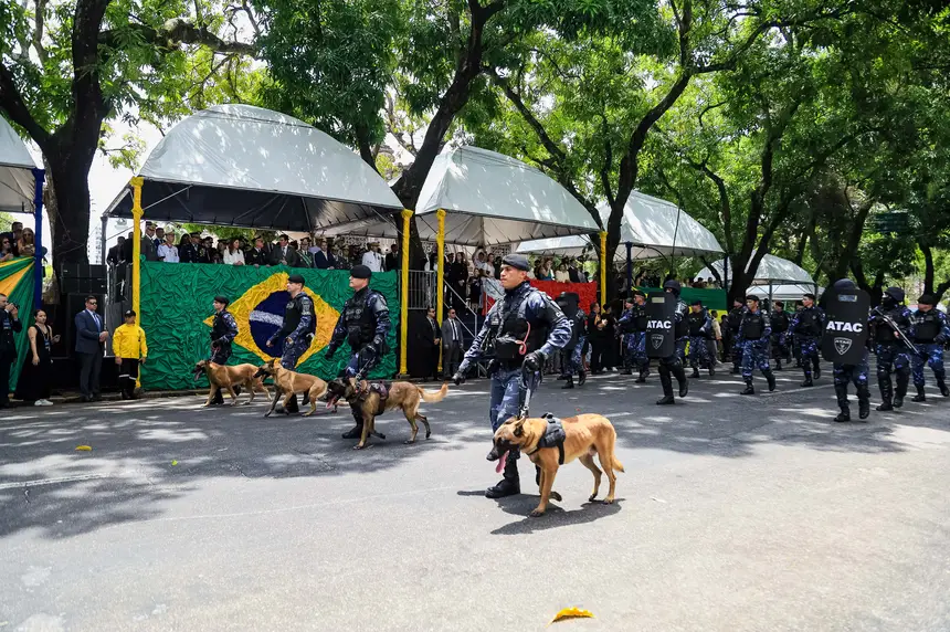  <div class='credito_fotos'>Foto: Leonardo Macêdo / Ascom Seop   |   <a href='/midias/2025/originais/20250907140842-GF00024763-F00440780.jpg' download><i class='fa-solid fa-download'></i> Download</a></div>