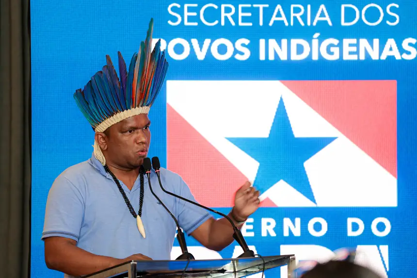 Ronaldo Amanayé, Coordenador executivo da Fepipa