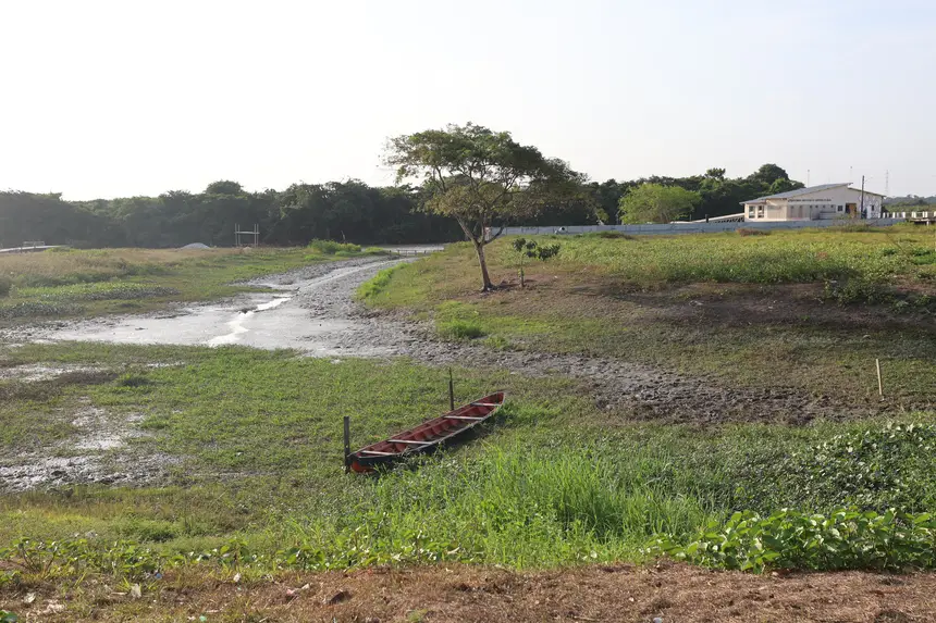 <div class='credito_fotos'>Foto: Bruno Cruz / Ag. Pará | <a href='/midias/2025/originais/20251015131531-GF00025175-F00455445.jpg' download><i class='fa-solid fa-download'></i> Download</a></div>