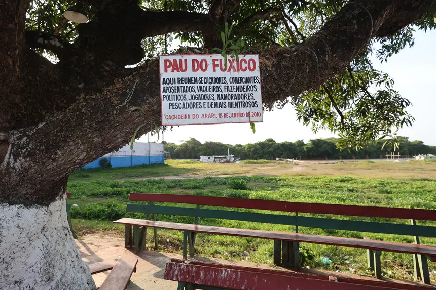 <div class='credito_fotos'>Foto: Bruno Cruz / Ag. Pará | <a href='/midias/2025/originais/20251015131535-GF00025175-F00455446.jpg' download><i class='fa-solid fa-download'></i> Download</a></div>