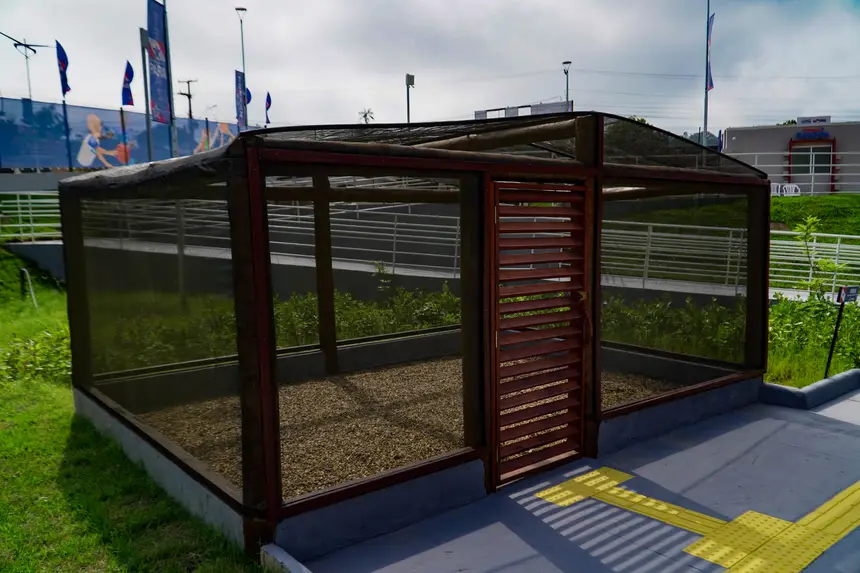  <div class='credito_fotos'>Foto: Alexandre Costa / Ag. Pará &nbsp;&nbsp;|&nbsp;&nbsp; <a href='/midias/2025/originais/20251016135809-GF00025196-F00456100.jpg' download><i class='fa-solid fa-download'></i> Download</a></div>