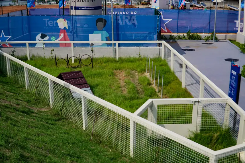  <div class='credito_fotos'>Foto: Alexandre Costa / Ag. Pará &nbsp;&nbsp;|&nbsp;&nbsp; <a href='/midias/2025/originais/20251016135926-GF00025196-F00456110.jpg' download><i class='fa-solid fa-download'></i> Download</a></div>