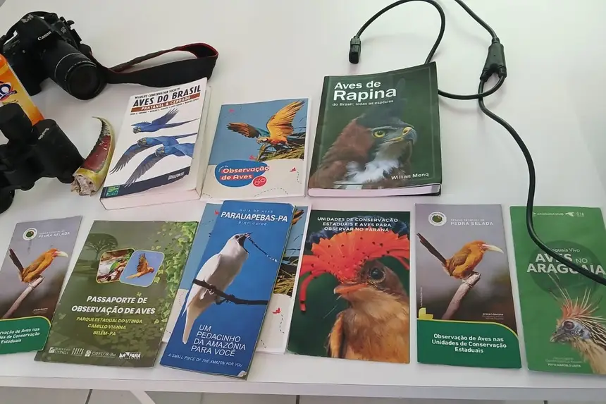 Crédito: Divulgação