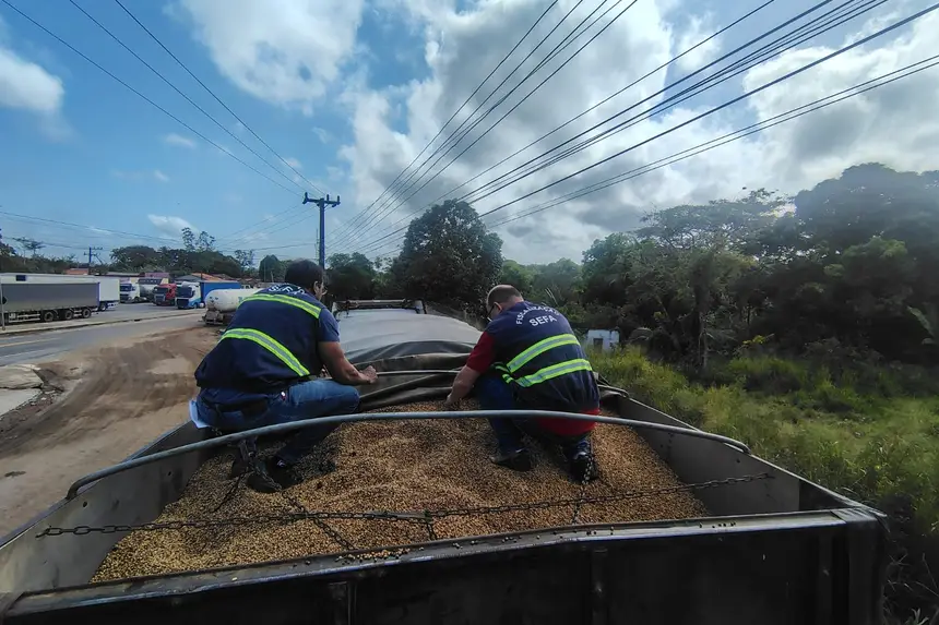 Crédito: Divulgação