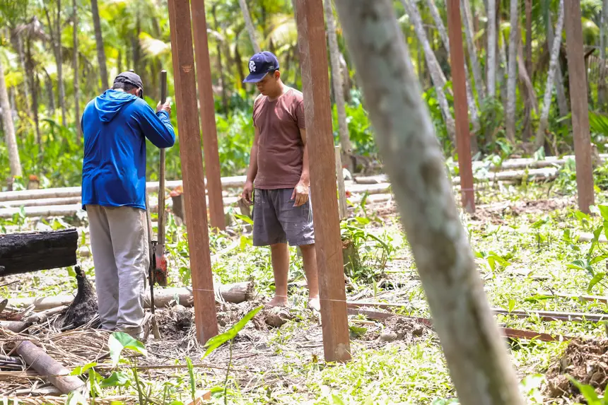  <div class='credito_fotos'>Foto: Pedro Guerreiro / Ag. Pará &nbsp;&nbsp;|&nbsp;&nbsp; <a href='/midias/2025/originais/20251022141455-GF00025261-F00458617.jpg' download><i class='fa-solid fa-download'></i> Download</a></div>