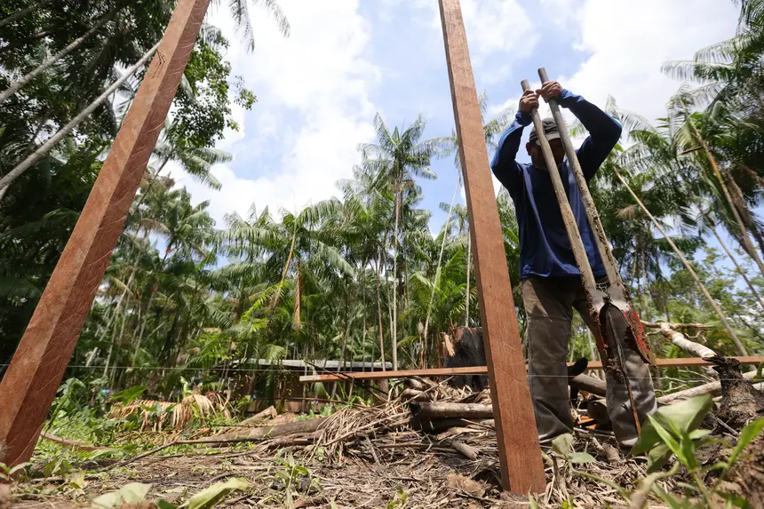  <div class='credito_fotos'>Foto: Pedro Guerreiro / Ag. Pará &nbsp;&nbsp;|&nbsp;&nbsp; <a href='/midias/2025/originais/20251022141458-GF00025261-F00458618.jpg' download><i class='fa-solid fa-download'></i> Download</a></div>