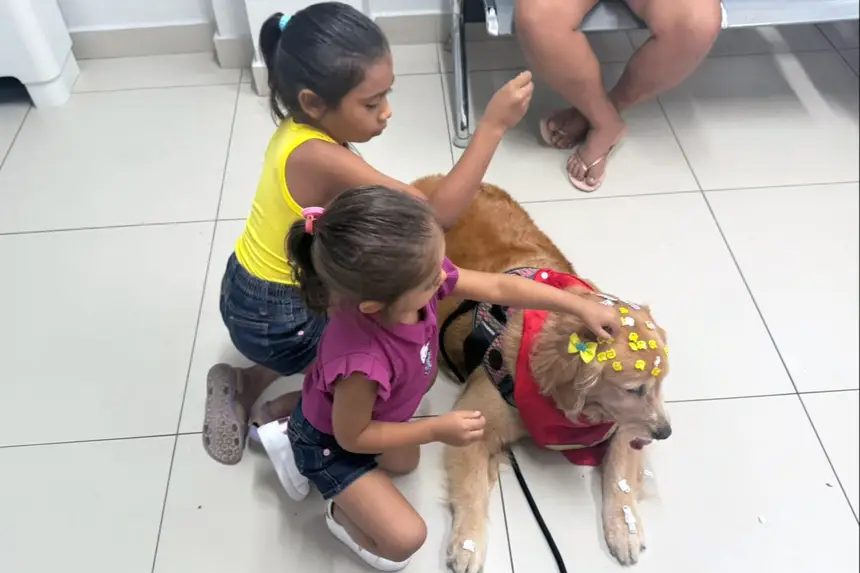 Crédito: Divulgação