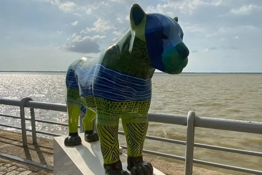 Obra: Amazônia Vive/ Artista: Laris