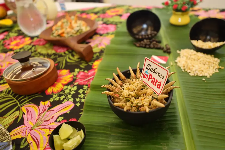 Crédito: Bruno Cecim / Ag. Pará