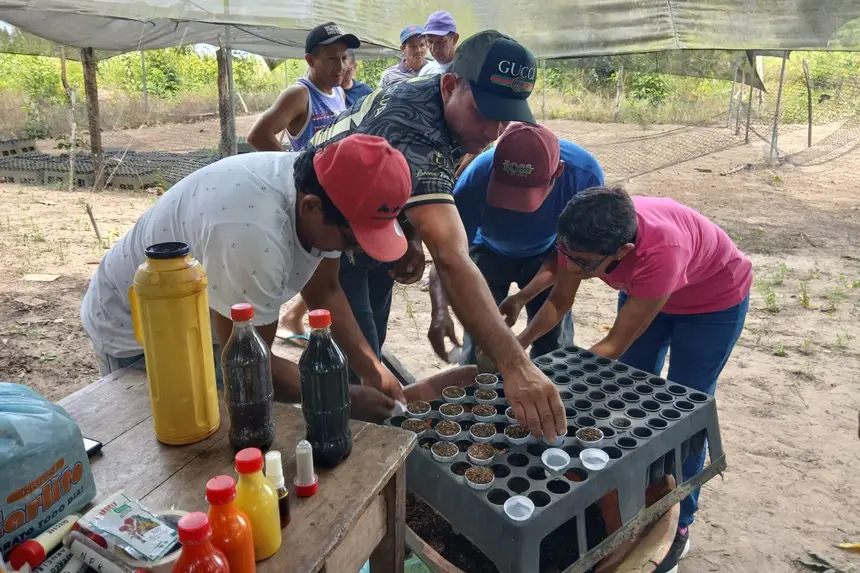 Crédito: Divulgação