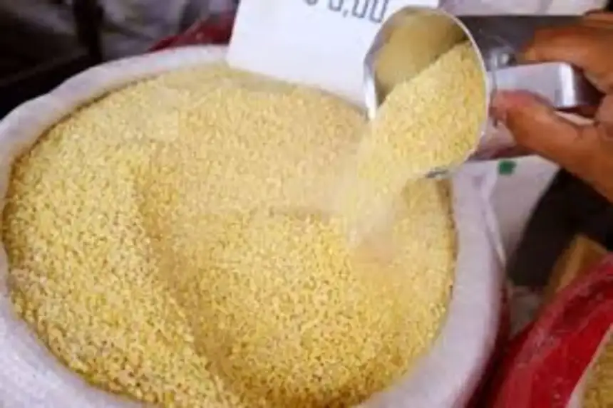 Crédito: Divulgação