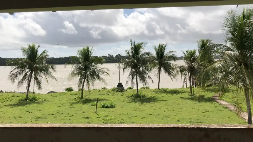 Políticas Públicas para a Bioeconomia Amazônica estarão entre os temas apresentados pela Sedap