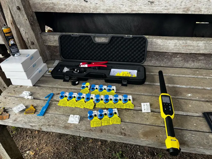 Crédito: Divulgação