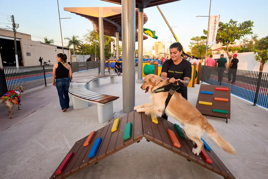  <div class='credito_fotos'>Foto: Bruno Cecim / Ag.Pará   |   <a href='/midias/2025/originais/20251103195347-GF00025370-F00462495.jpg' download><i class='fa-solid fa-download'></i> Download</a></div>