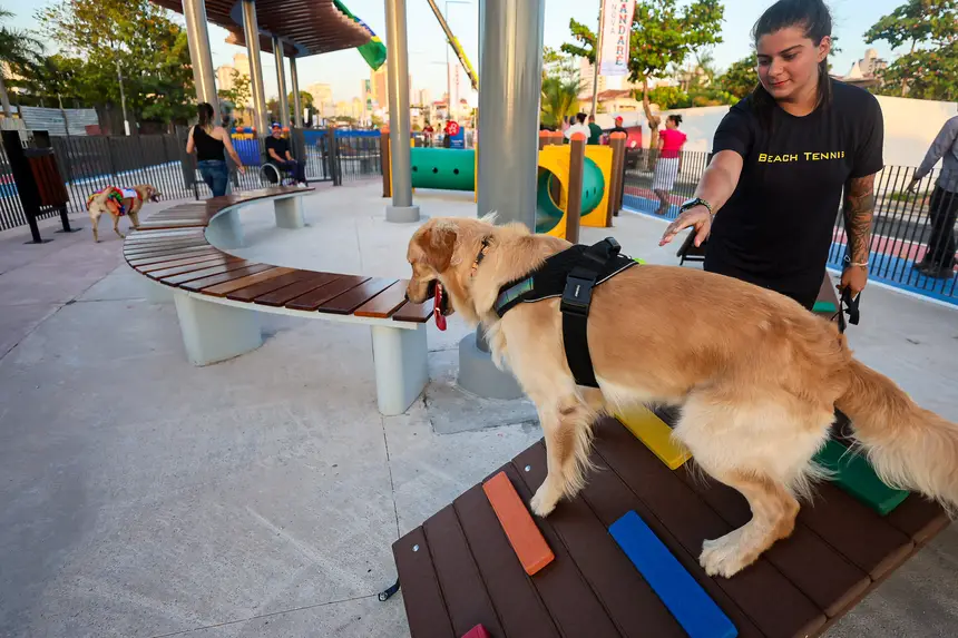  <div class='credito_fotos'>Foto: Bruno Cecim / Ag.Pará   |   <a href='/midias/2025/originais/20251103195348-GF00025370-F00462496.jpg' download><i class='fa-solid fa-download'></i> Download</a></div>