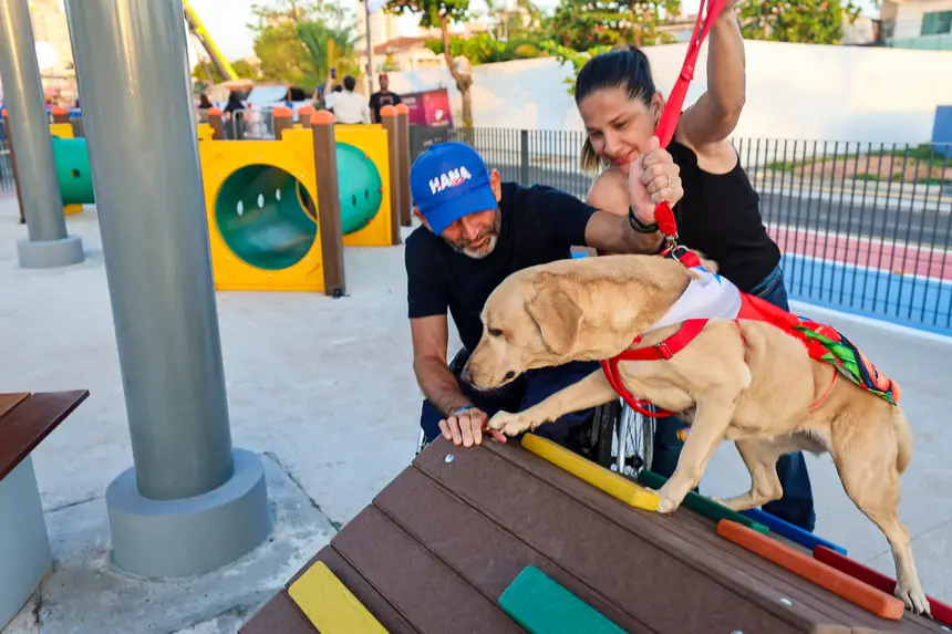  <div class='credito_fotos'>Foto: Bruno Cecim / Ag.Pará   |   <a href='/midias/2025/originais/20251103195350-GF00025370-F00462497.jpg' download><i class='fa-solid fa-download'></i> Download</a></div>