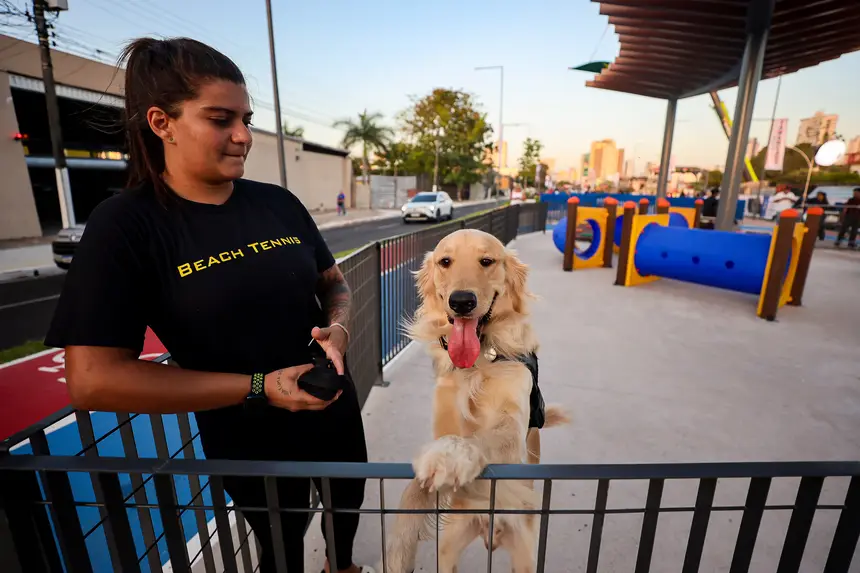  <div class='credito_fotos'>Foto: Bruno Cecim / Ag.Pará   |   <a href='/midias/2025/originais/20251103195404-GF00025370-F00462505.jpg' download><i class='fa-solid fa-download'></i> Download</a></div>