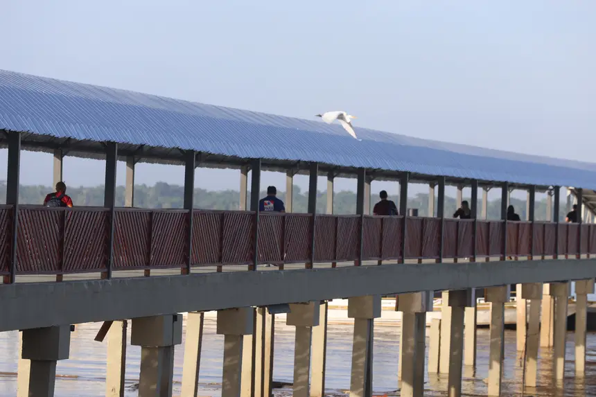  <div class='credito_fotos'>Foto: Bruno Cecim / Ag.Pará   |   <a href='/midias/2025/originais/20251104085848-GF00025374-F00462703.jpg' download><i class='fa-solid fa-download'></i> Download</a></div>