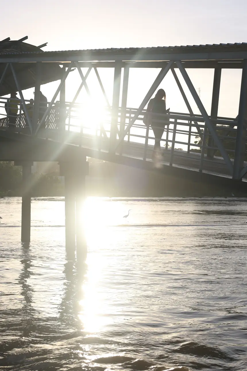  <div class='credito_fotos'>Foto: Bruno Cecim / Ag.Pará   |   <a href='/midias/2025/originais/20251104090012-GF00025374-F00462752.jpg' download><i class='fa-solid fa-download'></i> Download</a></div>