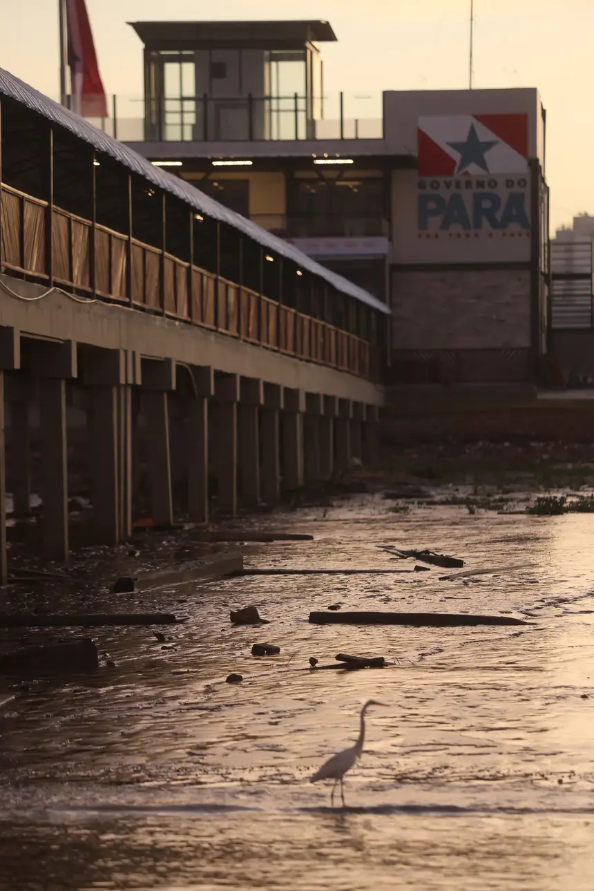  <div class='credito_fotos'>Foto: Bruno Cecim / Ag.Pará   |   <a href='/midias/2025/originais/20251104090103-GF00025374-F00462781.jpg' download><i class='fa-solid fa-download'></i> Download</a></div>