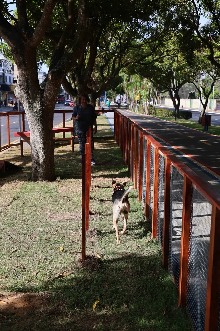  <div class='credito_fotos'>Foto: Marco Santos / Ag. Pará   |   <a href='/midias/2025/originais/20251104104845-GF00025377-F00462853.jpg' download><i class='fa-solid fa-download'></i> Download</a></div>