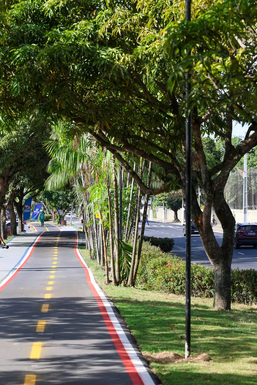  <div class='credito_fotos'>Foto: Marco Santos / Ag. Pará   |   <a href='/midias/2025/originais/20251104104910-GF00025377-F00462861.jpg' download><i class='fa-solid fa-download'></i> Download</a></div>